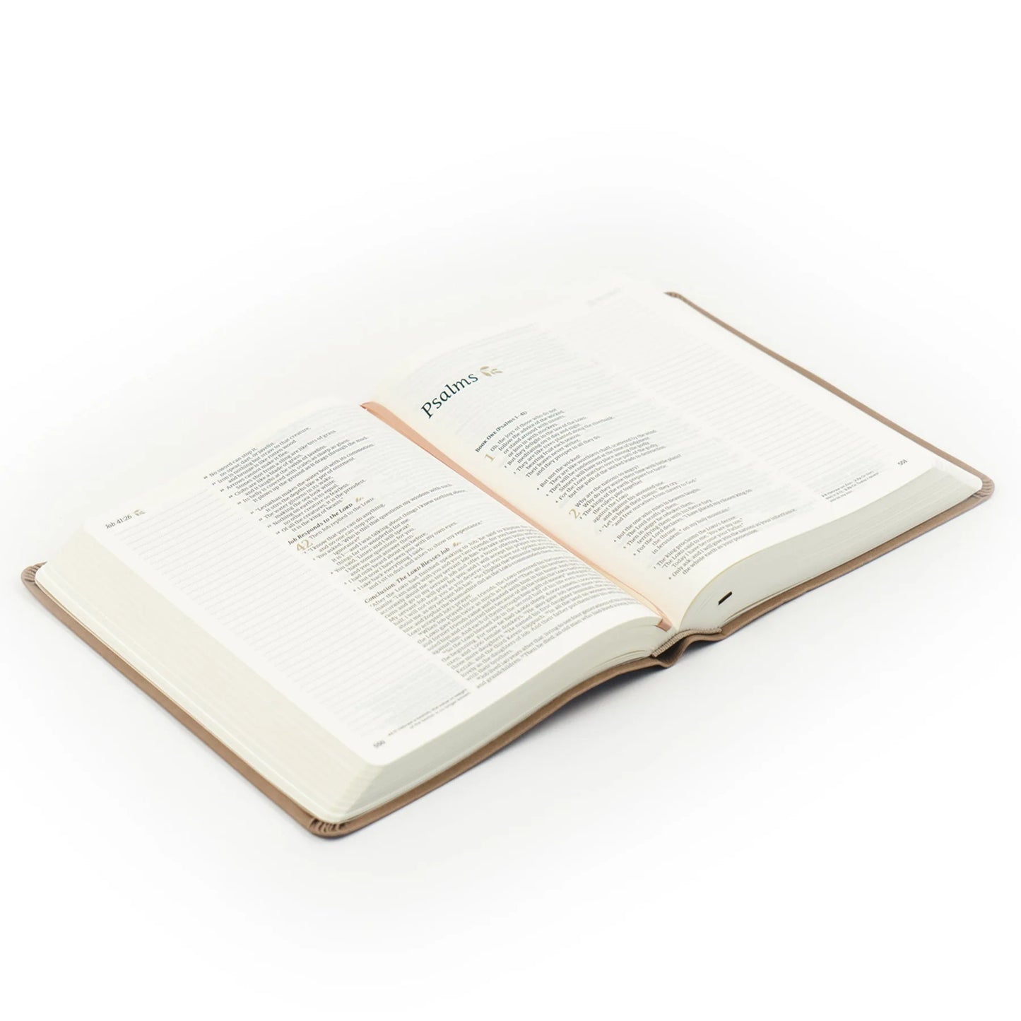 NLT Notetaking Bible : Galilee