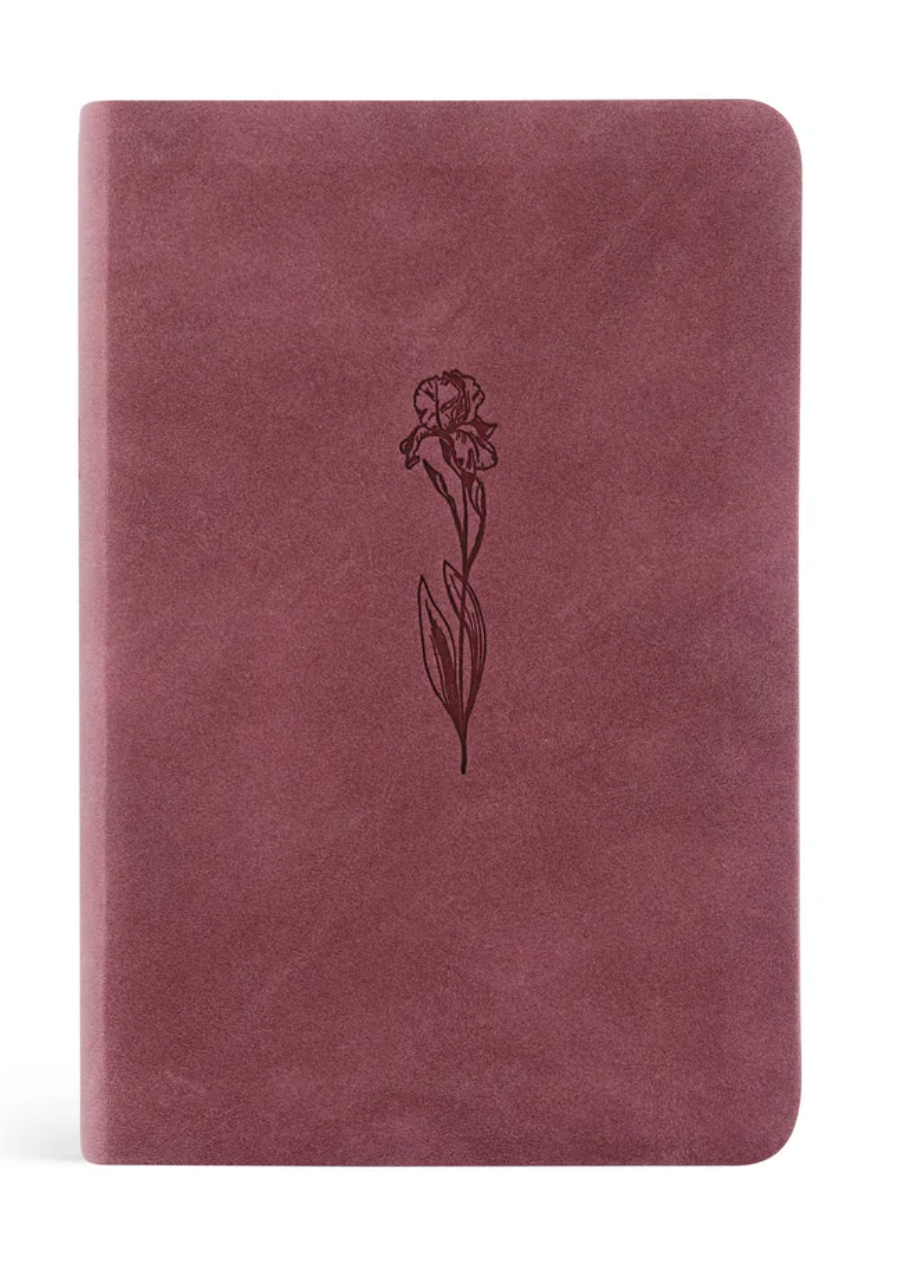 NLT Compact Bibles- HELENA PREORDER