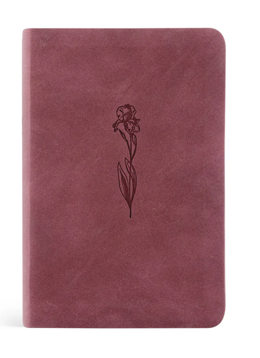 NLT Compact Bibles- PREORDER