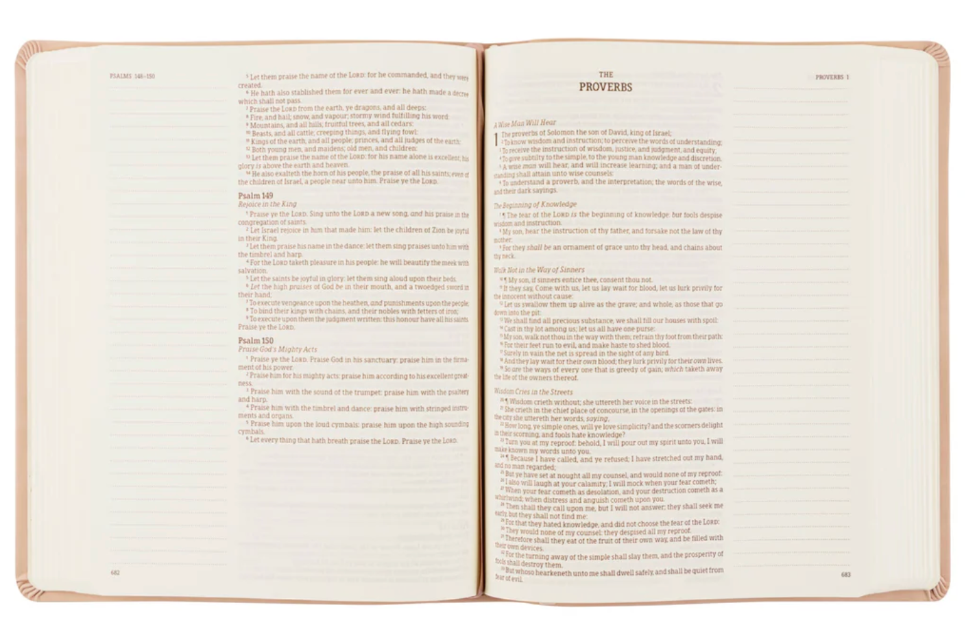 KJV Large Print Bible- PREORDER