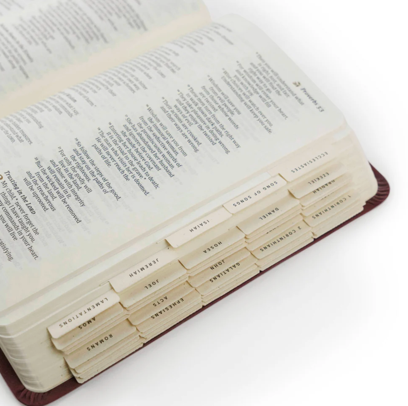 Bible Tabs- PREORDER