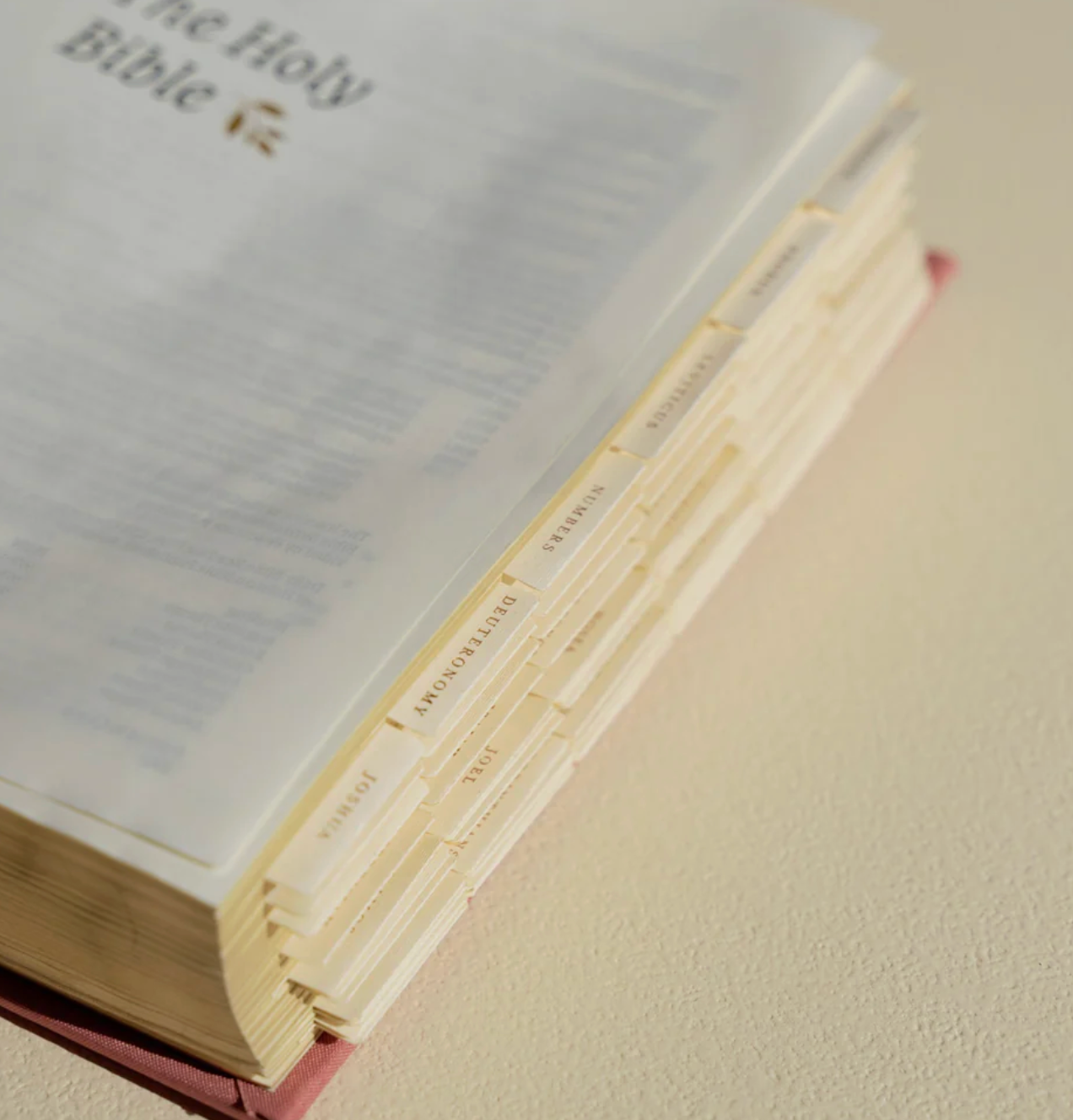Bible Tabs- PREORDER