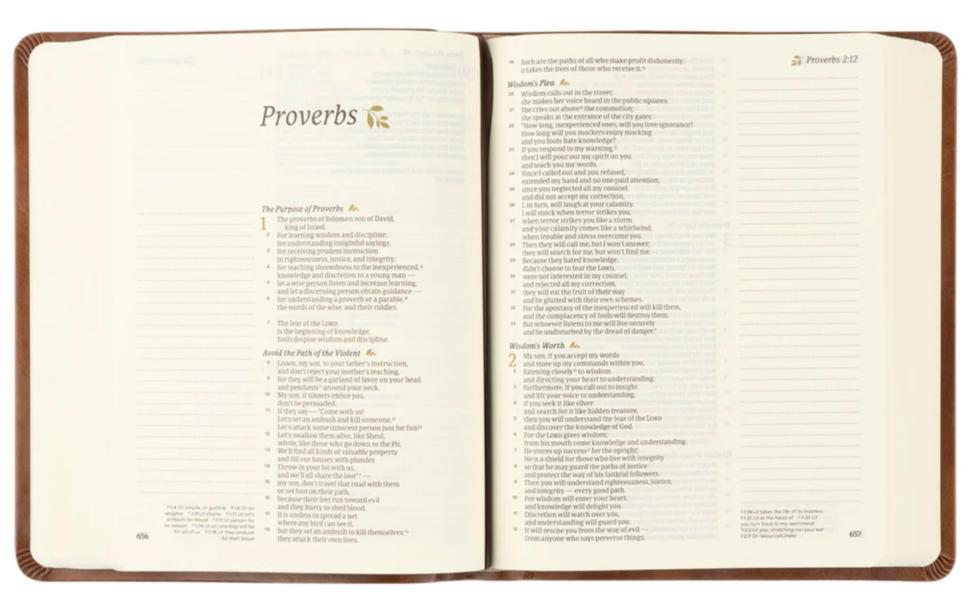 CSB Notetaking Bible- Edinburgh PREORDER