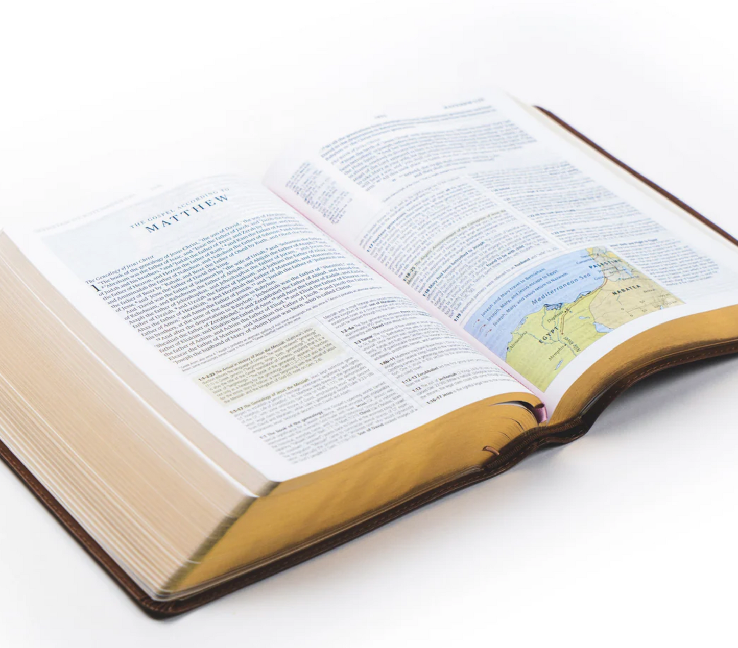ESV Study Bible- PREORDER