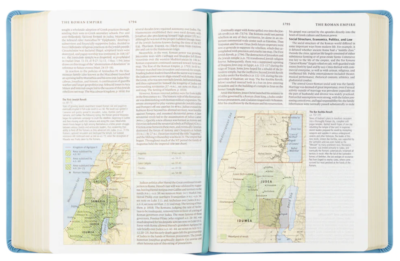 ESV Study Bible- PREORDER