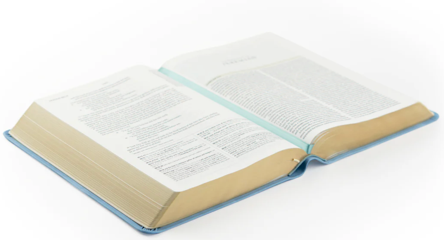 ESV Study Bible- PREORDER
