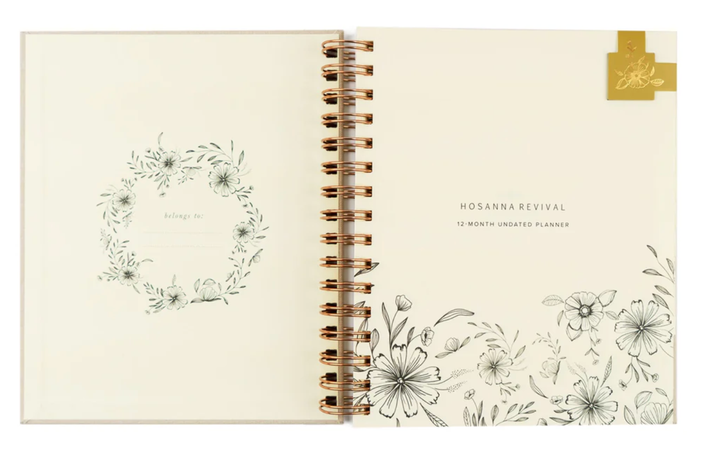 UNDATED Planner- PREORDER