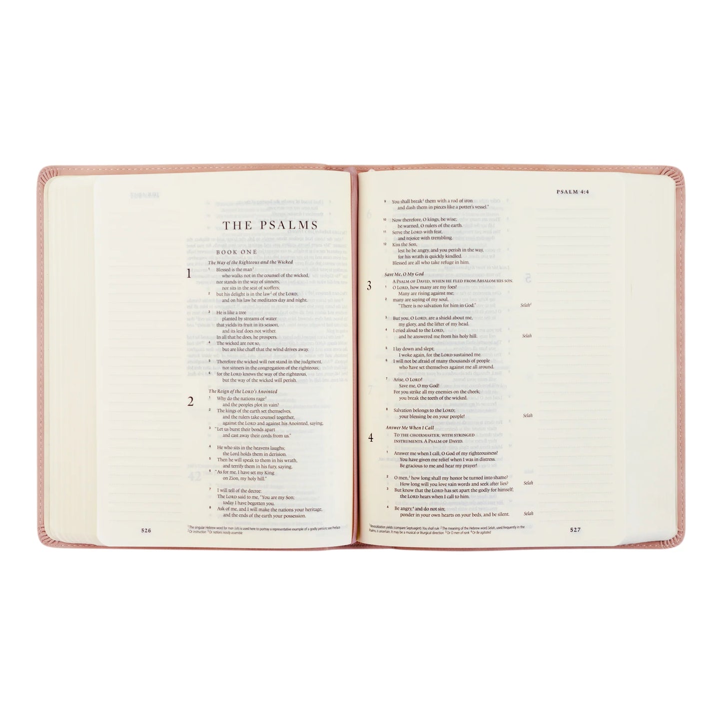 ESV Journaling Bible : Shiloh Theme PREORDER