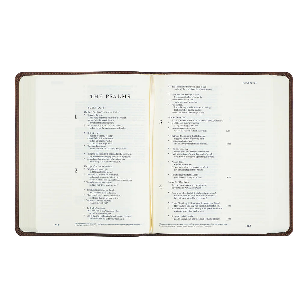 Westminister ESV Journaling Bible- PREORDER