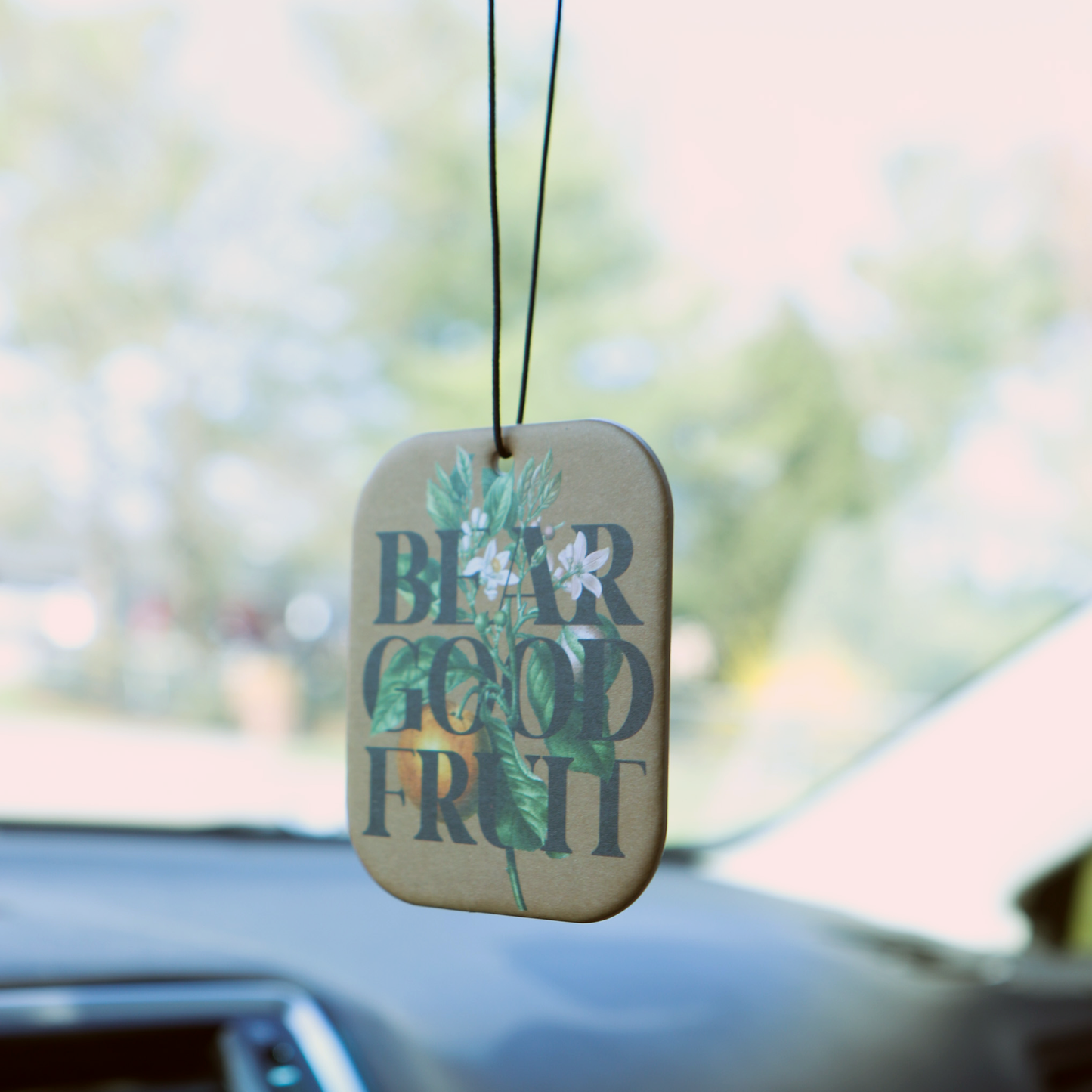 Bear Good Fruit 4-Pack Ocean Scented Air Fresheners